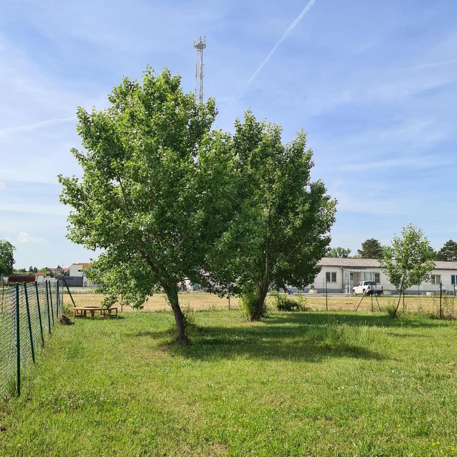 Tiny House Villa Neusiedl an der Zaya Exterior photo